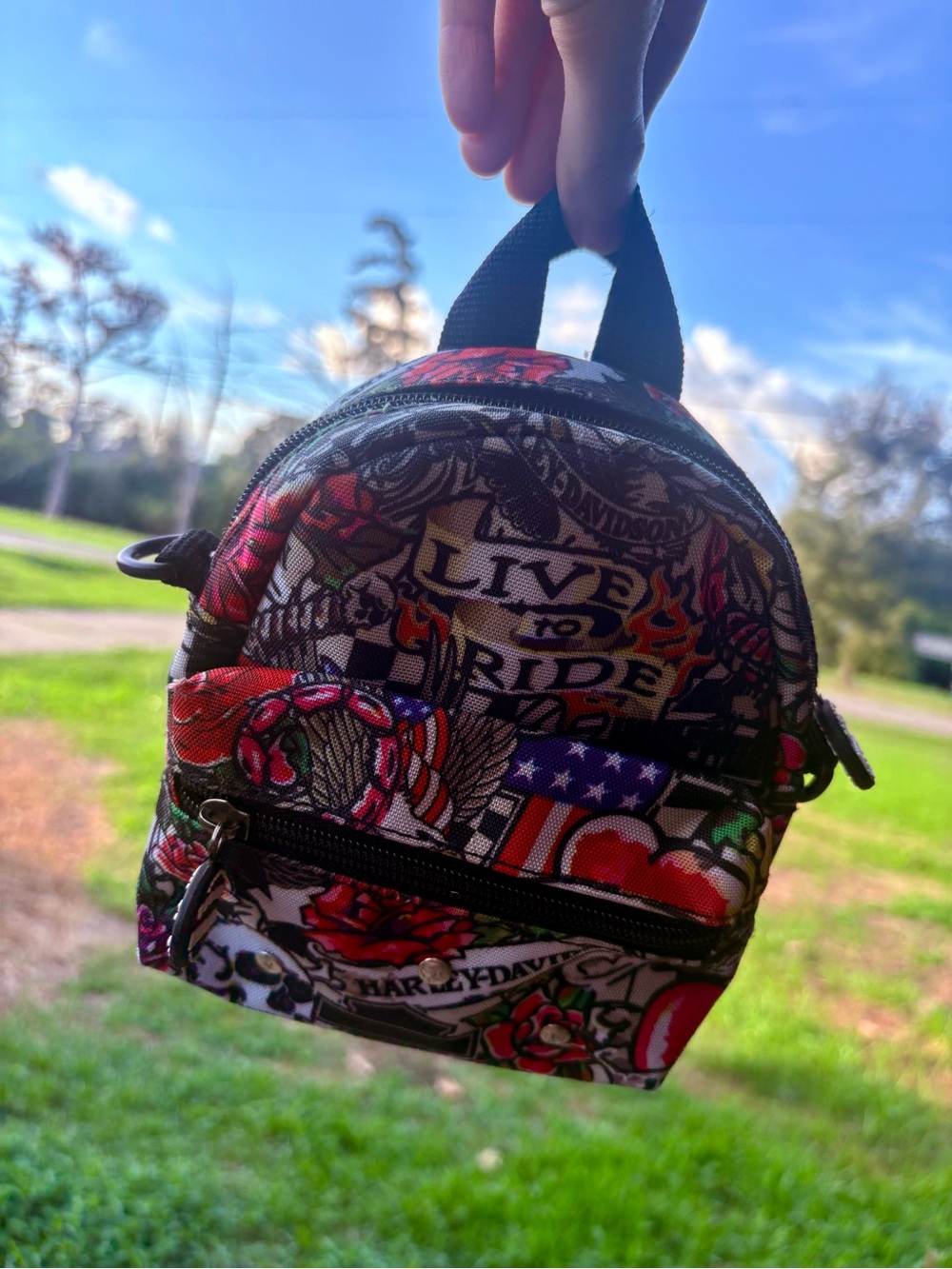 Harley-Davidson Black and Red Graphic Mini Backpack